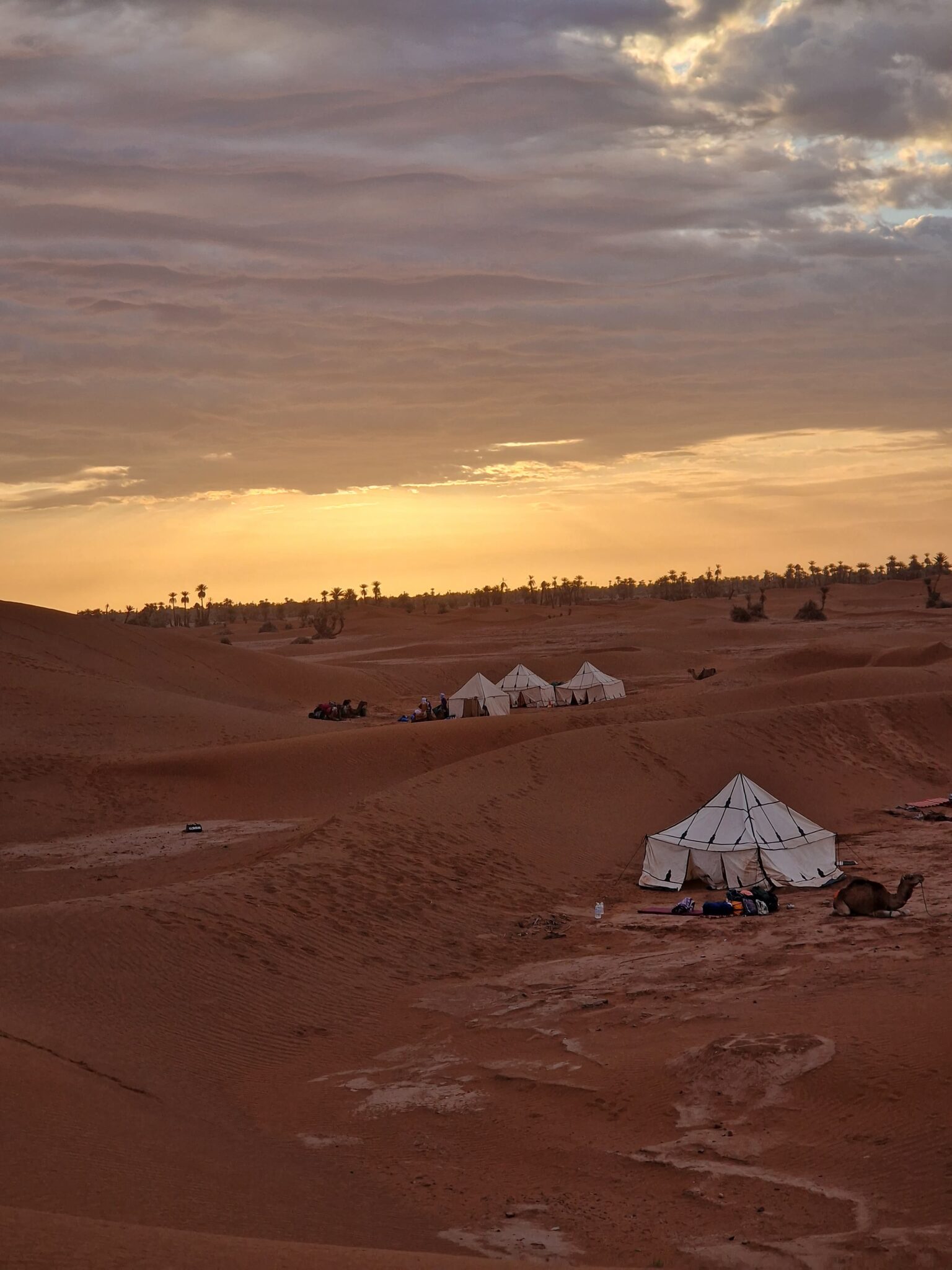 1d1d5d68-7a2b-41b7-8896-da18a9f86d32