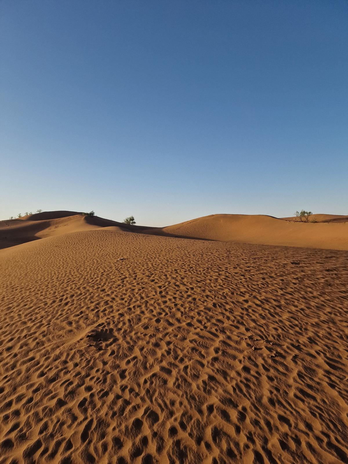 3d1b72fb-6c4a-4236-b394-4d2734874a4a