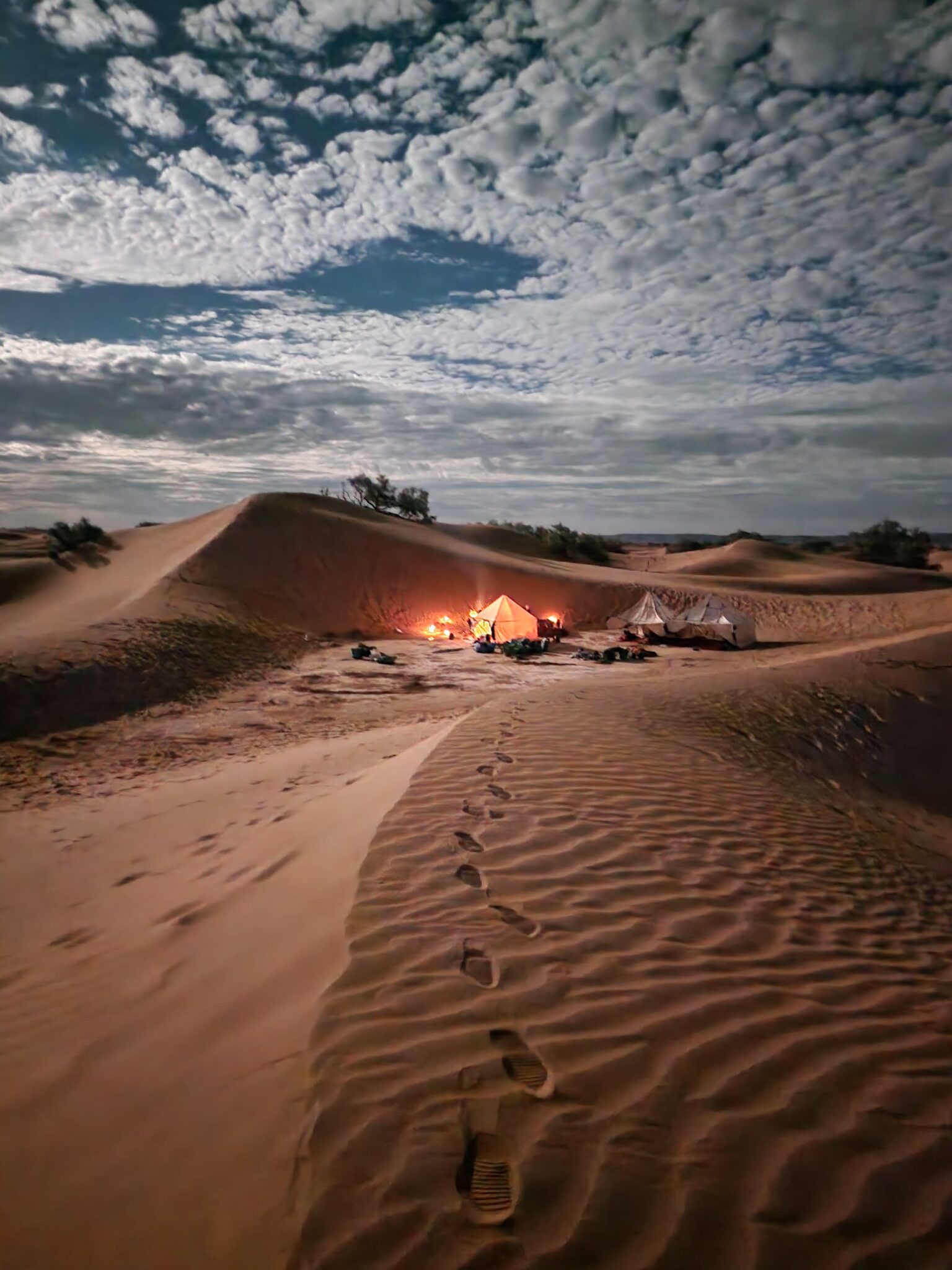 3e7f692c-a37e-4707-84fd-7c32baf3fbf6