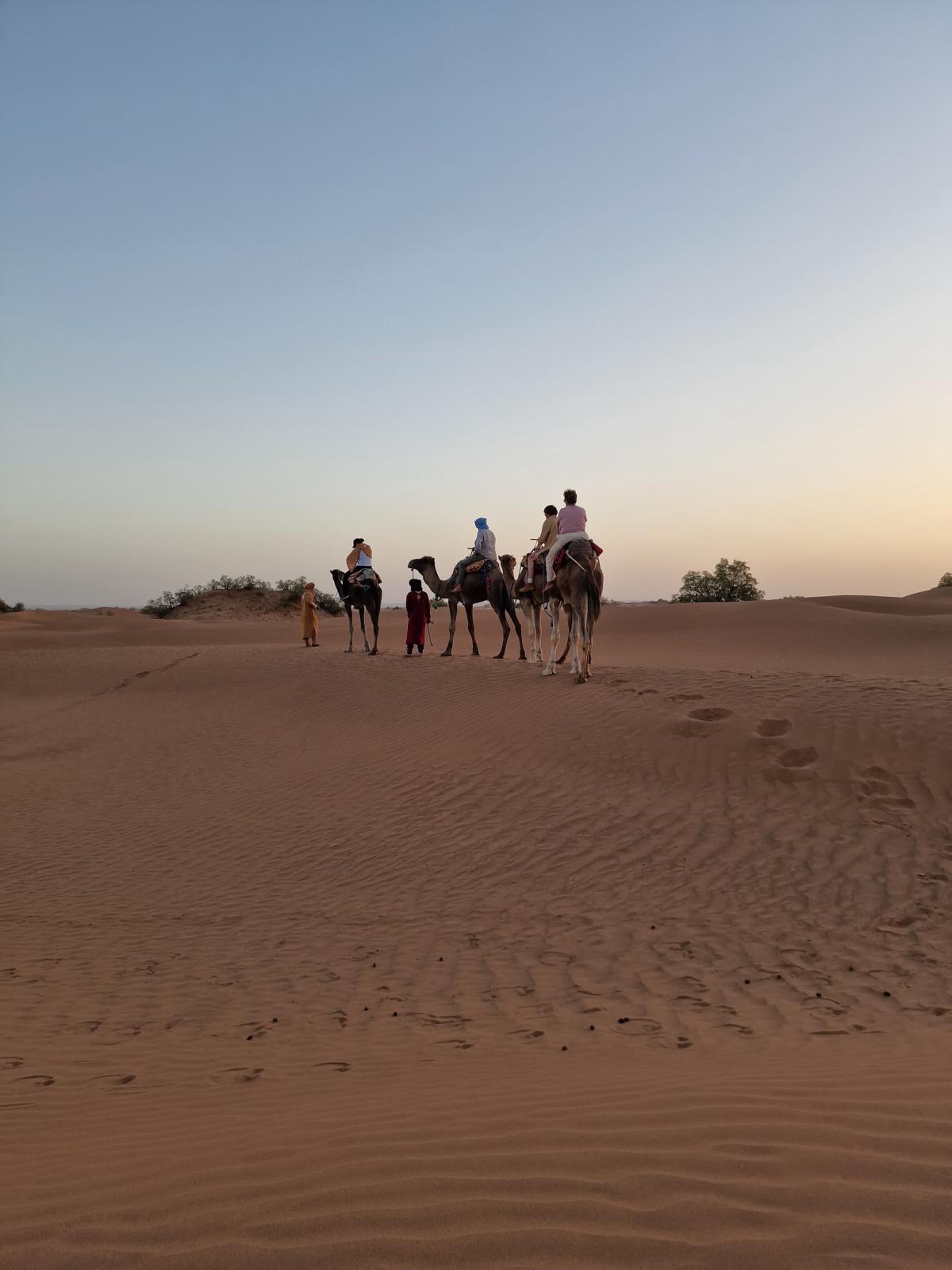 4c4d7f82-0f6d-4dbf-95c3-65043371a073