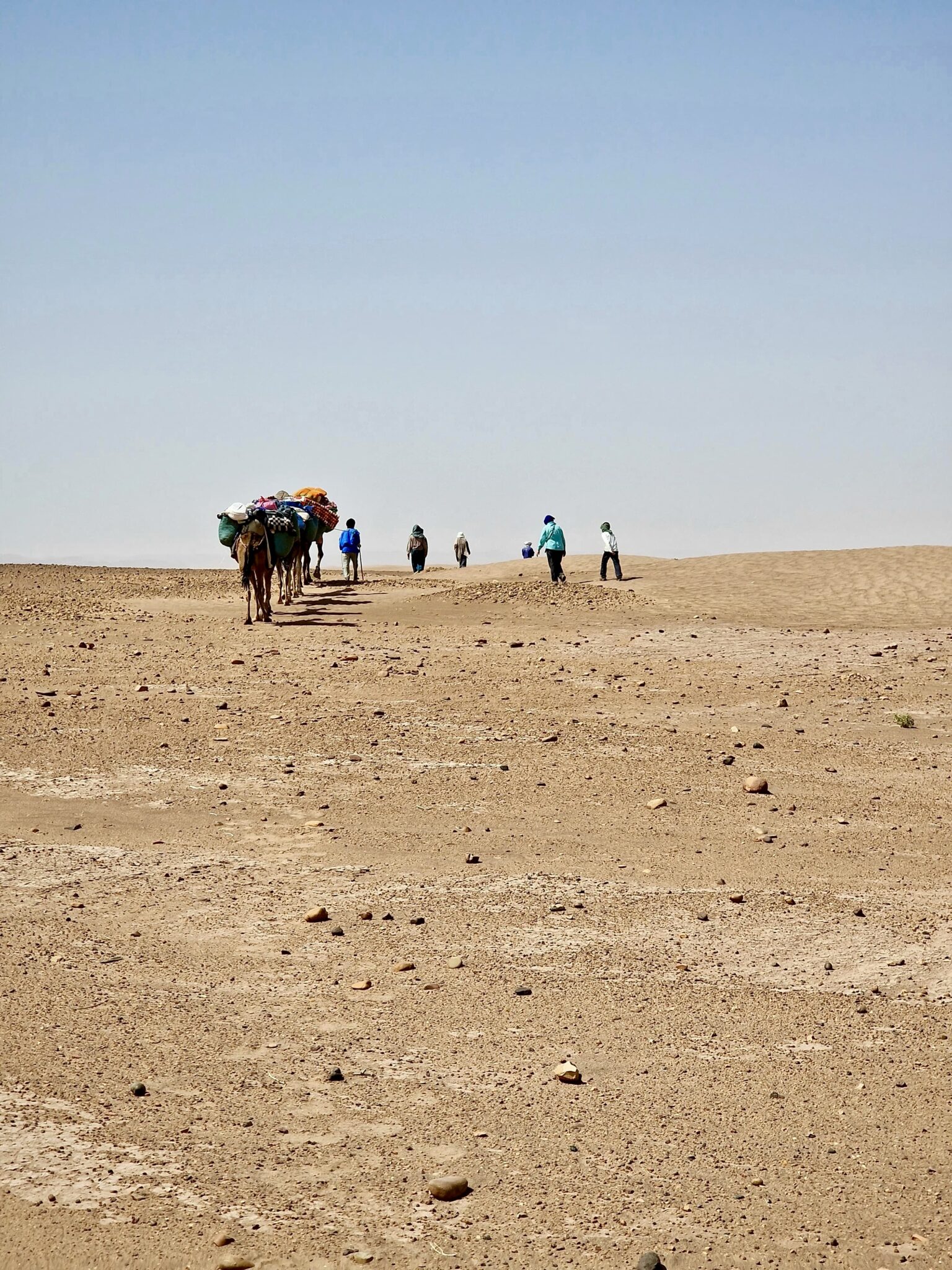 6a3e903a-6a40-428e-bd8c-7b5403088b97