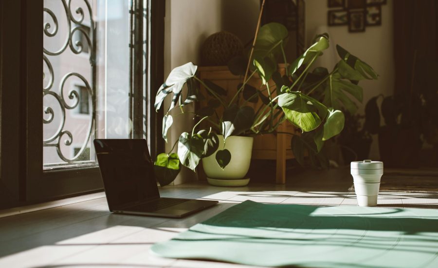 pexels-roman-odintsov-6193711