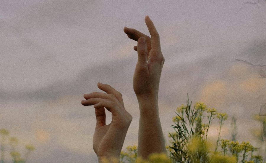 pexels-svetlana🎞-10271201